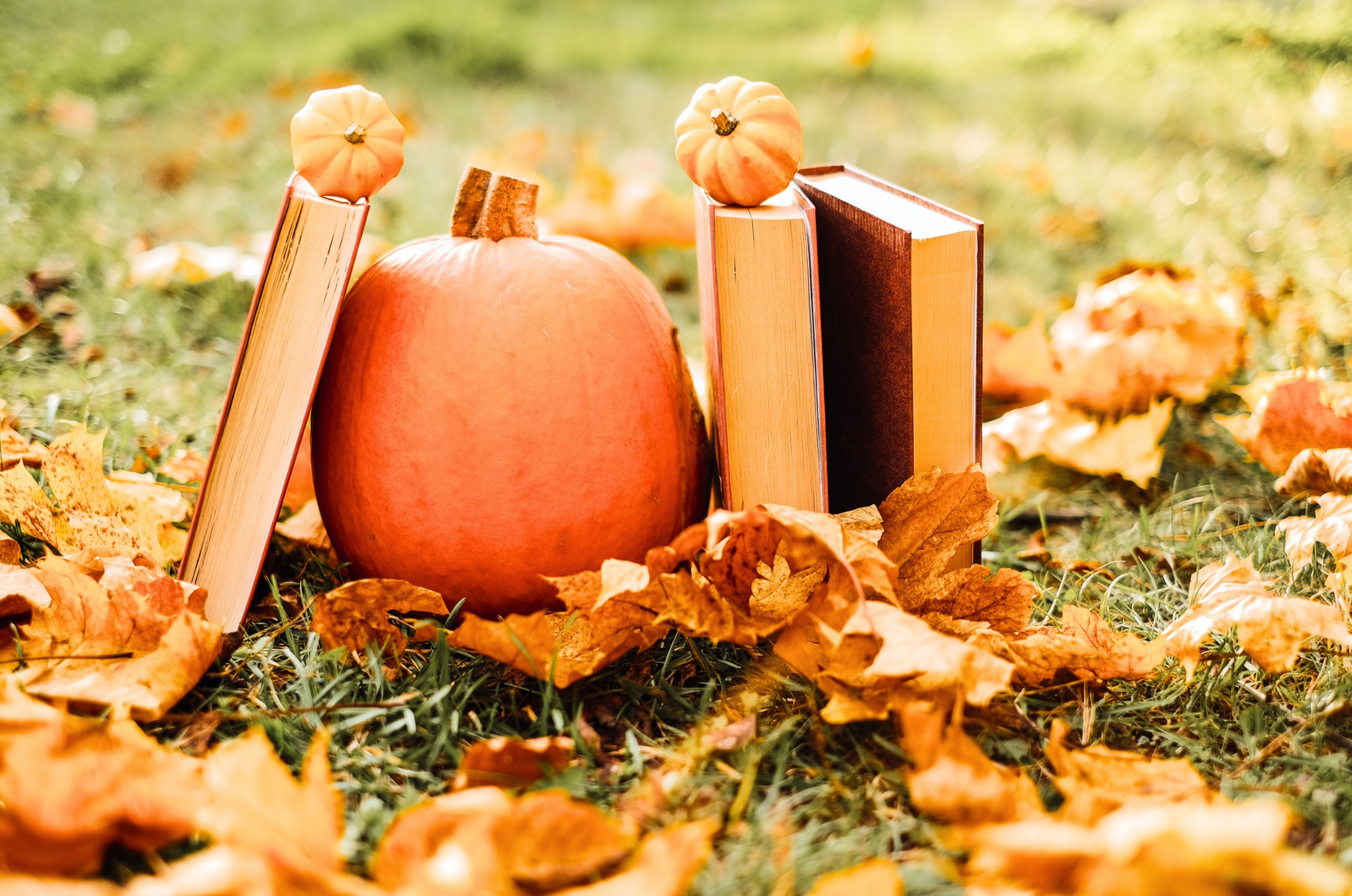 Ultimate List of Fall Books for Kids: Faith-Friendly, Educational,  Russian.