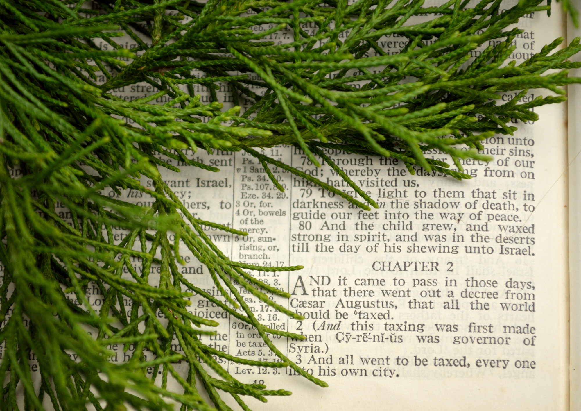 How to Have a Stress Free Christmas : 15 Peaceful Tips for Moms